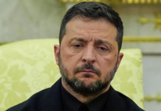 wp header logo17671176571067846027