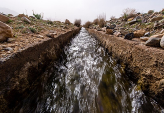 wp header logo17672544571201410224