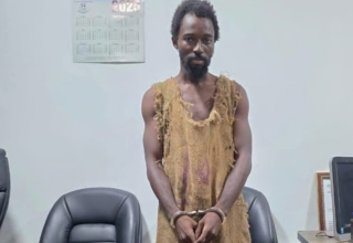 wp header logo1767272420895802940