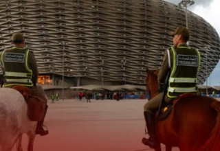 wp header logo176729043557346145