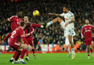 wp header logo17673012201245744335