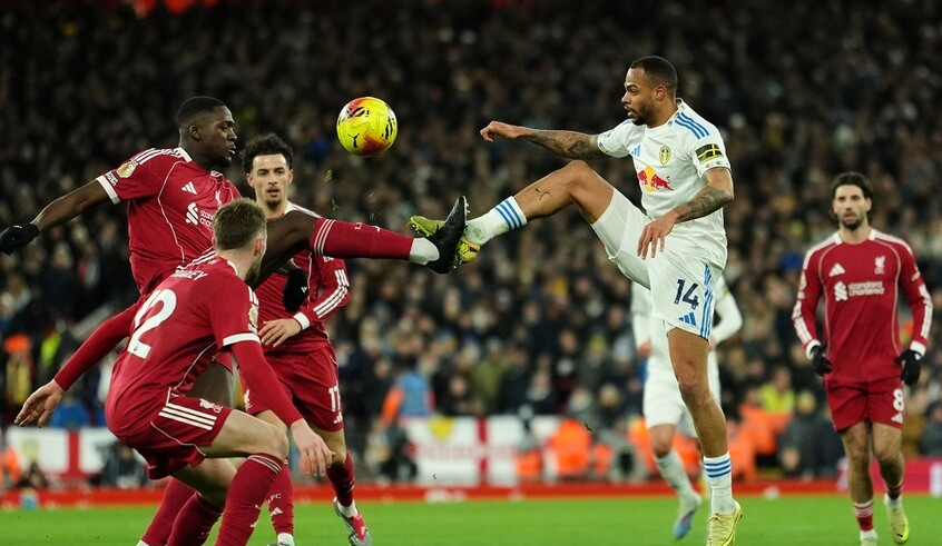 wp header logo17673012201245744335