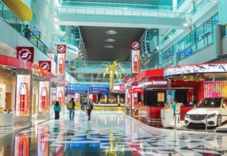 wp header logo17673156051206999537