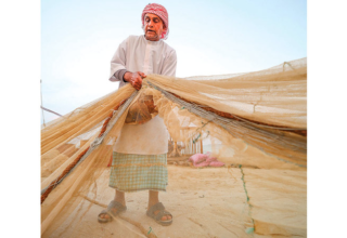 wp header logo1767315635282917896