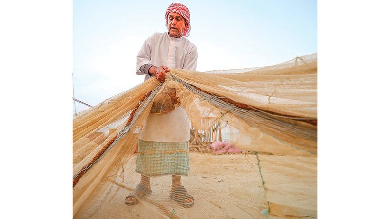 wp header logo1767315635282917896