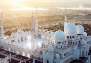 wp header logo176733360556059715