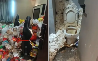 wp header logo17673552051432850076