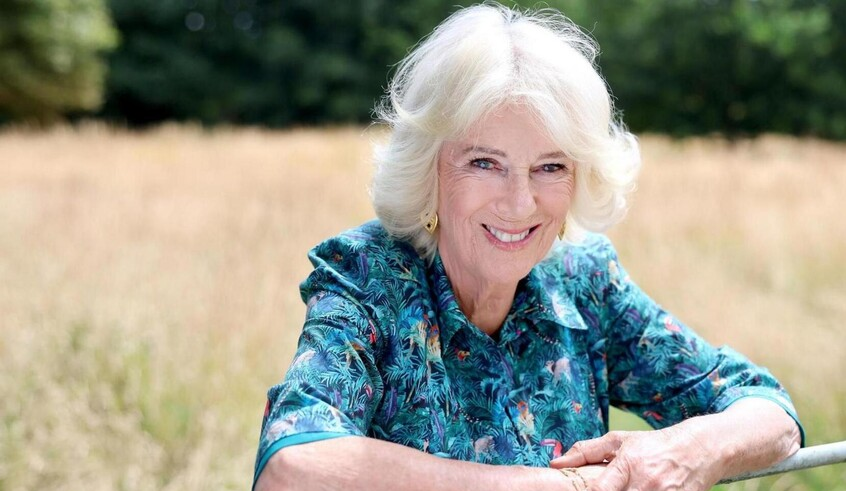 wp header logo17673552272051422764