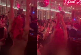 wp header logo176736601034998743