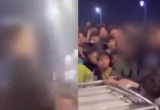 wp header logo17673696091812490631