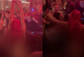 wp header logo17673768241760215210