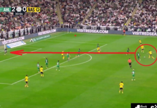 wp header logo17673804091367424193