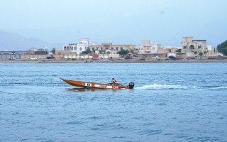 wp header logo1767402008517258652