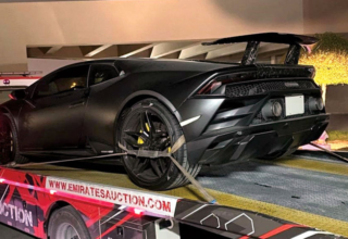 wp header logo17674020191727414477