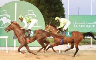 wp header logo1767402026494026725