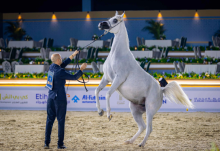 wp header logo1767427224673331680