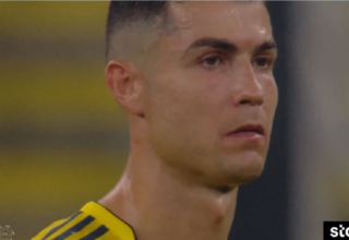 wp header logo17674488081035363099