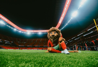 wp header logo1767456019378227940