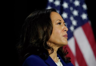 wp header logo17675028081111905361