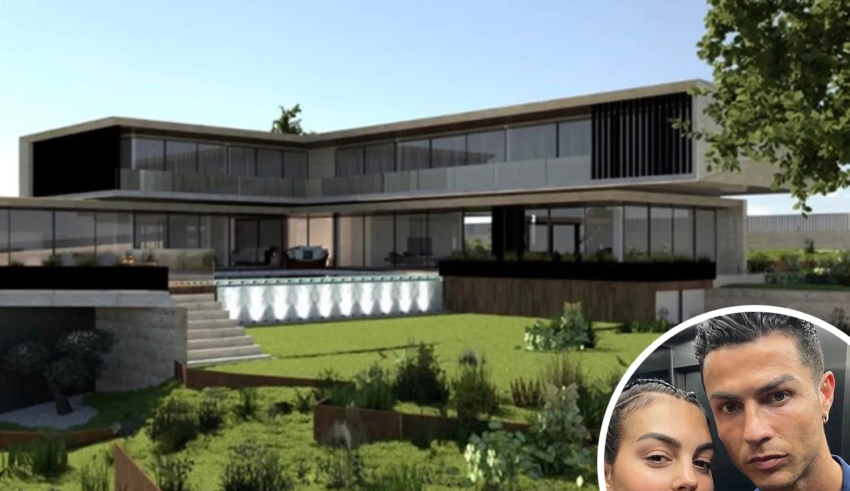 wp header logo1767520805973071661