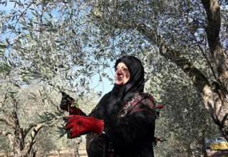 wp header logo1767535207229641794