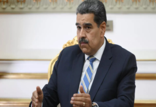 wp header logo17675352081011595680