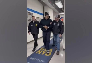 wp header logo1767542405262790607