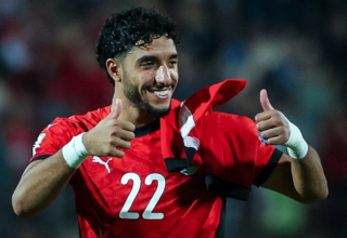 wp header logo17675424241362526110