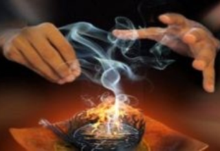 wp header logo1767582005685470828