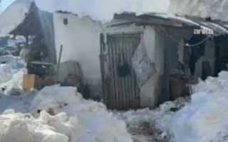 wp header logo17675892051179839084