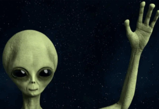 wp header logo1767589208532518662