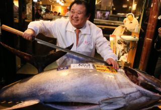 wp header logo1767589215133959359