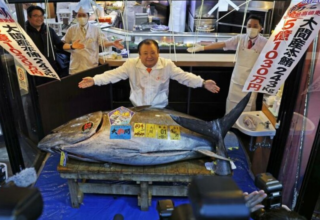 wp header logo17676000081735541042