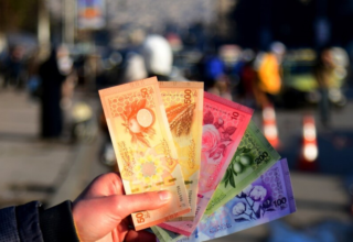 wp header logo17676000251794736509