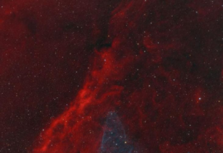 wp header logo1767603605618646536