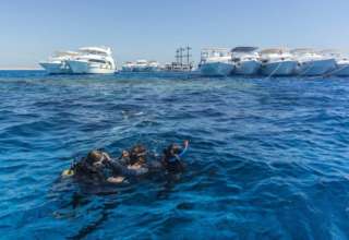 wp header logo176761080493404903