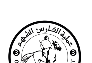 wp header logo1767614413942678091