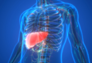 wp header logo1767625210427120803