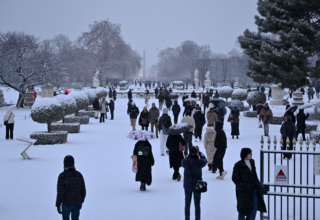 wp header logo1767650405253574484