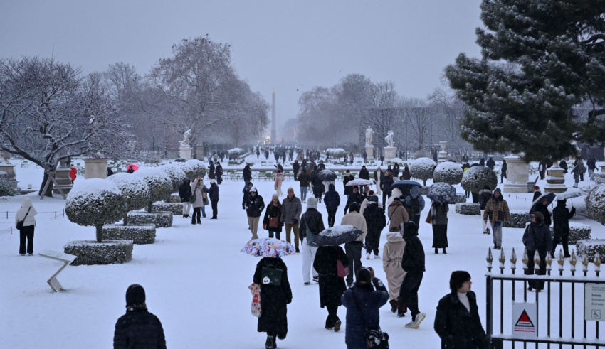 wp header logo1767650405253574484