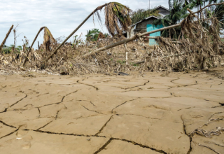 wp header logo17676612151055779206