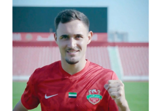 wp header logo17676612171142447172