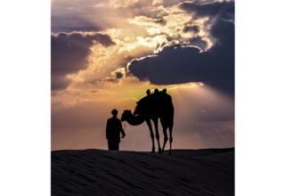 wp header logo1767661235465668417