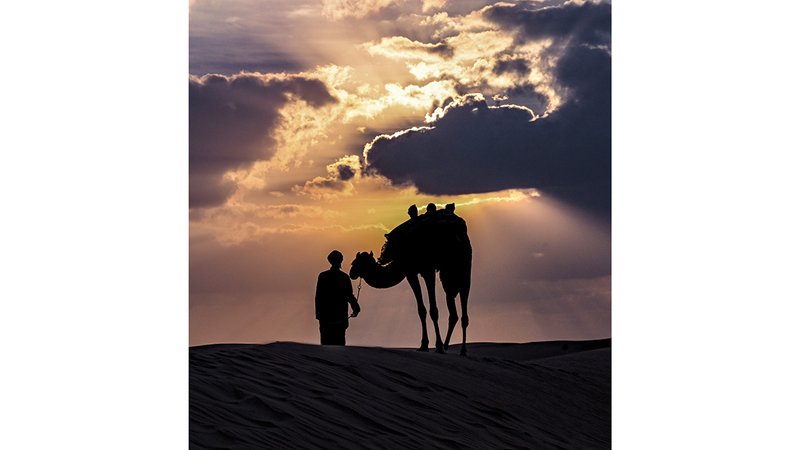 wp header logo1767661235465668417