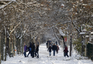 wp header logo17677008042004359676