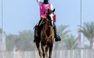 wp header logo17677116052138936473