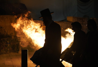 wp header logo1767729619163794731