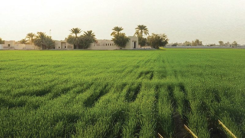 wp header logo1767747618342053136