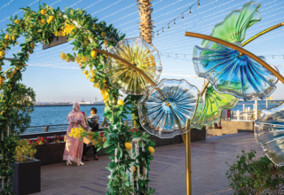 wp header logo17677476271368716879