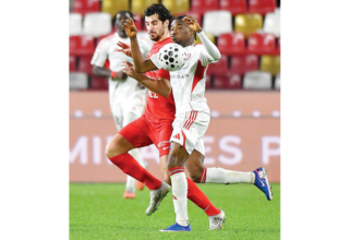 wp header logo1767747629196442007